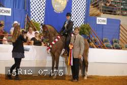 15R12_07475 thumbnail