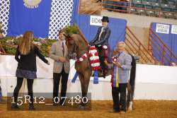 15R12_07480 thumbnail