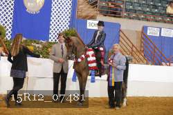 15R12_07481 thumbnail