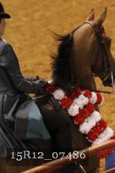 15R12_07486 thumbnail