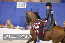 15R12_07488 thumbnail