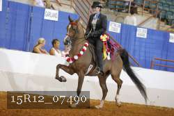 15R12_07490 thumbnail