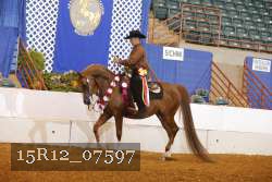 15R12_07597 thumbnail
