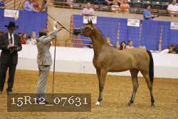 15R12_07631 thumbnail