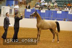 15R12_07684 thumbnail