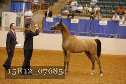 15R12_07685 thumbnail