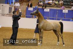 15R12_07686 thumbnail
