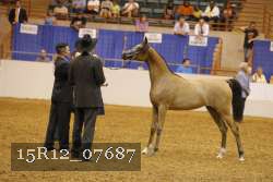 15R12_07687 thumbnail