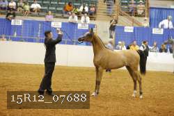 15R12_07688 thumbnail