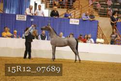 15R12_07689 thumbnail