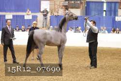15R12_07690 thumbnail