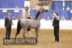 15R12_07691 thumbnail