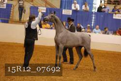 15R12_07692 thumbnail