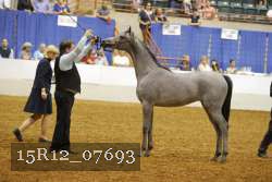 15R12_07693 thumbnail