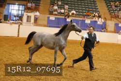 15R12_07695 thumbnail