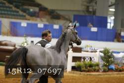 15R12_07697 thumbnail