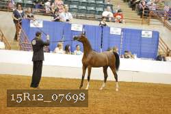 15R12_07698 thumbnail