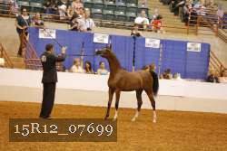 15R12_07699 thumbnail