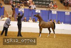 15R12_07704 thumbnail