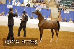 15R12_07705 thumbnail