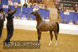 15R12_07706 thumbnail