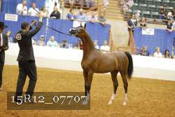 15R12_07707 thumbnail