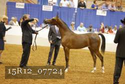 15R12_07724 thumbnail