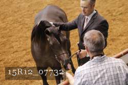15R12_07732 thumbnail