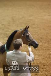 15R12_07733 thumbnail