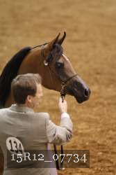 15R12_07734 thumbnail