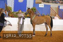 15R12_07735 thumbnail