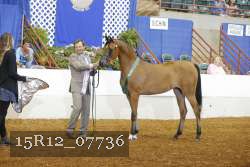 15R12_07736 thumbnail