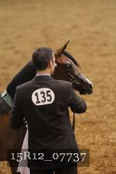 15R12_07737 thumbnail
