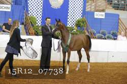 15R12_07738 thumbnail