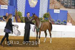 15R12_07739 thumbnail