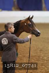 15R12_07741 thumbnail