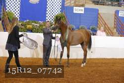 15R12_07742 thumbnail