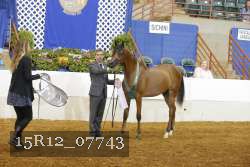 15R12_07743 thumbnail