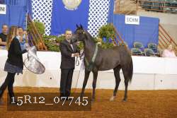 15R12_07745 thumbnail