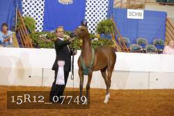 15R12_07749 thumbnail