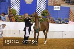 15R12_07750 thumbnail