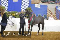 15R12_07752 thumbnail