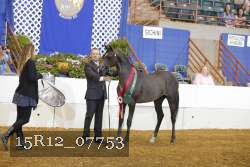 15R12_07753 thumbnail