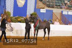 15R12_07754 thumbnail