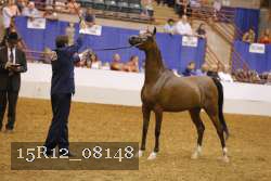 15R12_08148 thumbnail