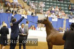 15R12_08149 thumbnail
