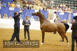15R12_08152 thumbnail