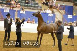15R12_08153 thumbnail