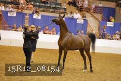 15R12_08154 thumbnail
