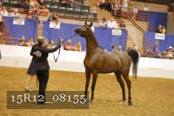 15R12_08155 thumbnail